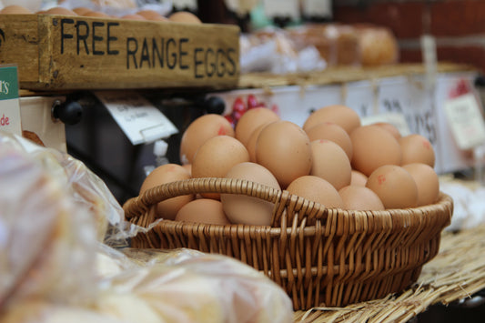 Are eggs good for your gut?