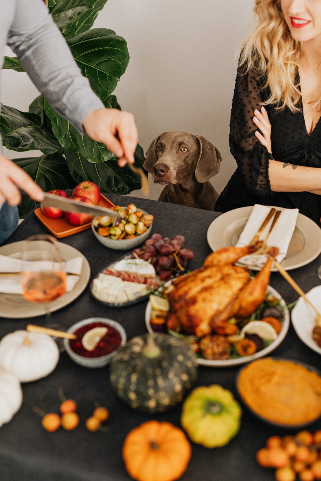Why You Need to Pay Attention to Thanksgiving Gut Health